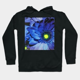 Big Bright Blue Flower Hoodie